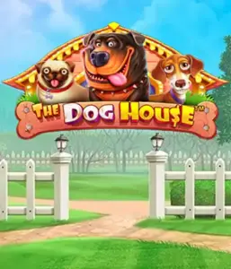 From Pragmatic Play comes The Dog House, bringing you a delightful journey among charming canines. Discover gameplay elements including sticky wilds, designed for delivering entertaining gameplay. Perfect for animal enthusiasts a lighthearted setting alongside lucrative rewards.