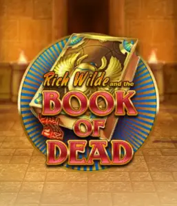 Dive into the thrilling world of Book of Dead Slot by Play'n GO, featuring vivid graphics of Rich Wilde's journey through ancient Egyptian tombs and artifacts. Discover lost riches with captivating mechanics like free spins, expanding symbols, and a gamble option. Ideal for adventure enthusiasts with a desire for thrilling discoveries.